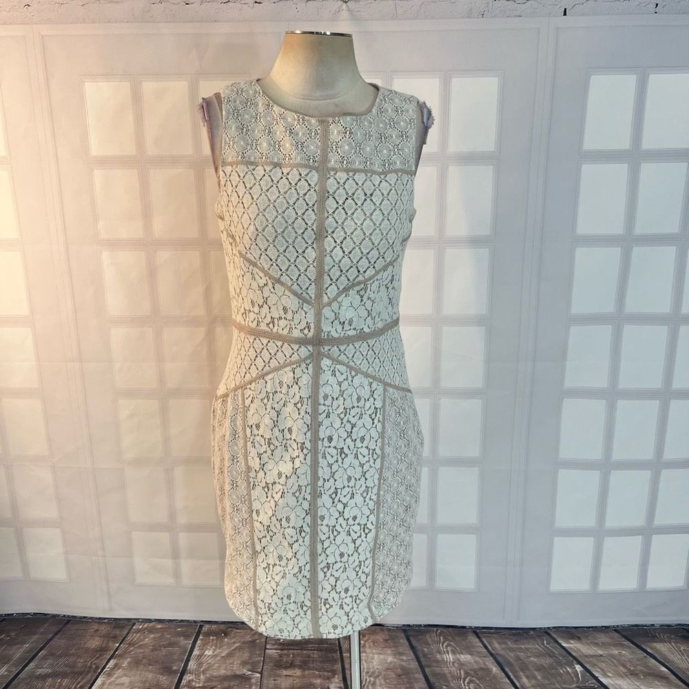 Maggy London cream ivory lace patchwork sheath dress size 12